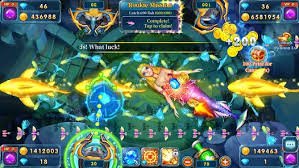 5566win